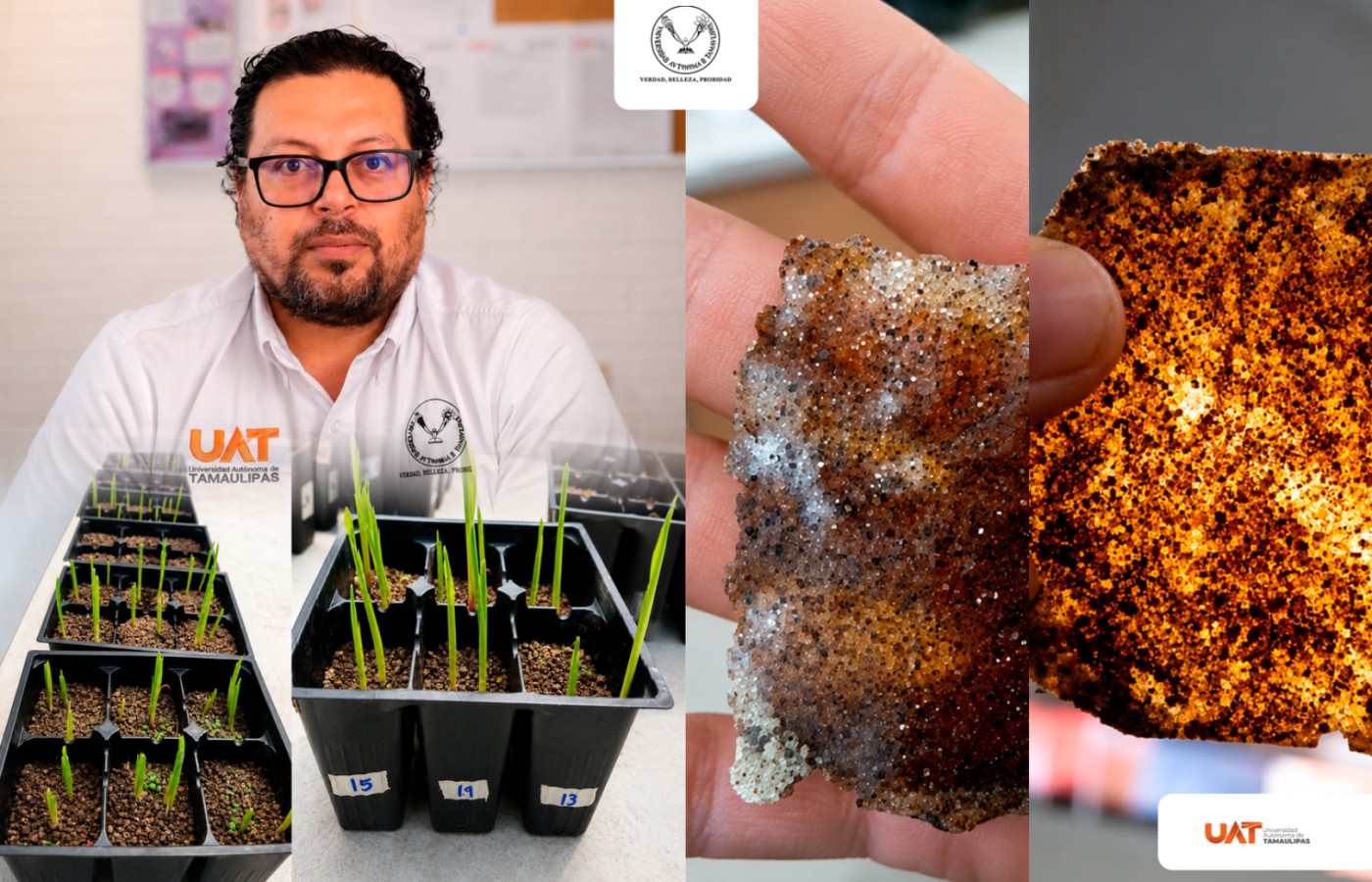 Patenta la UAT bioplásticos que recuperan suelos erosionados