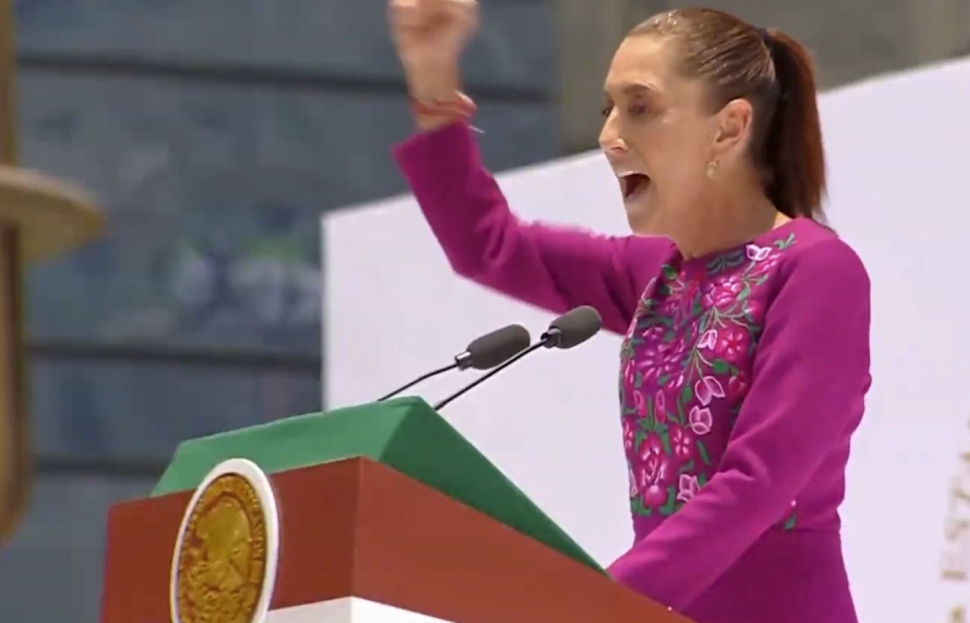 Presidenta3.png