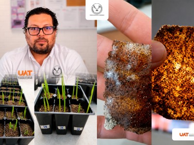Patenta la UAT bioplásticos que recuperan suelos erosionados