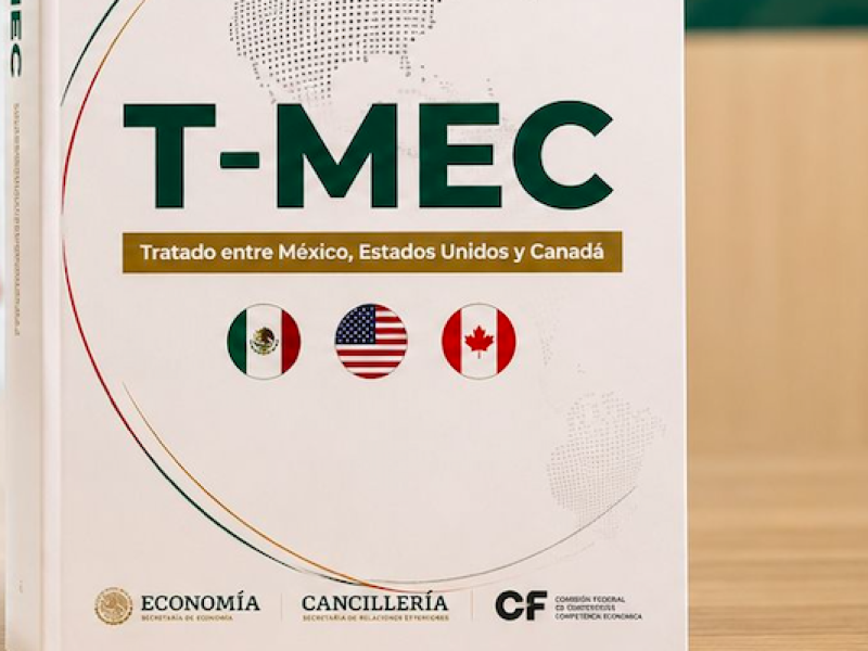 Ebrard y la lógica sistémica del T-MEC