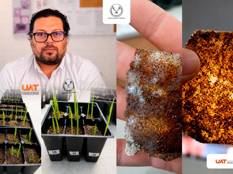Patenta la UAT bioplásticos que recuperan suelos erosionados